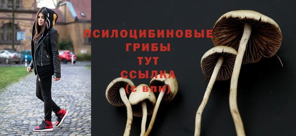скорость Михайловск
