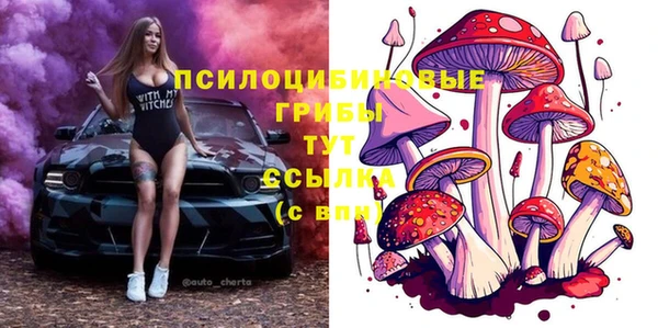 гашик Бежецк
