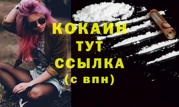 мяу мяу мука Михайлов