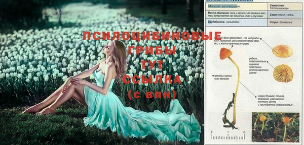 СК Наволоки
