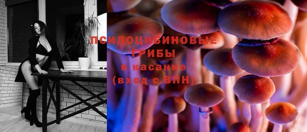марки lsd Фурманов