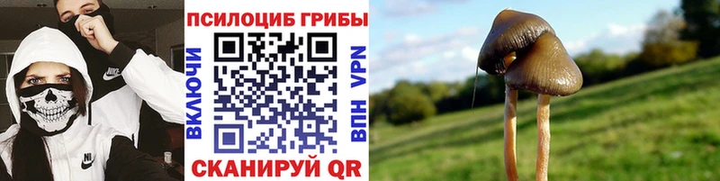 Псилоцибиновые грибы прущие грибы  Мегион 