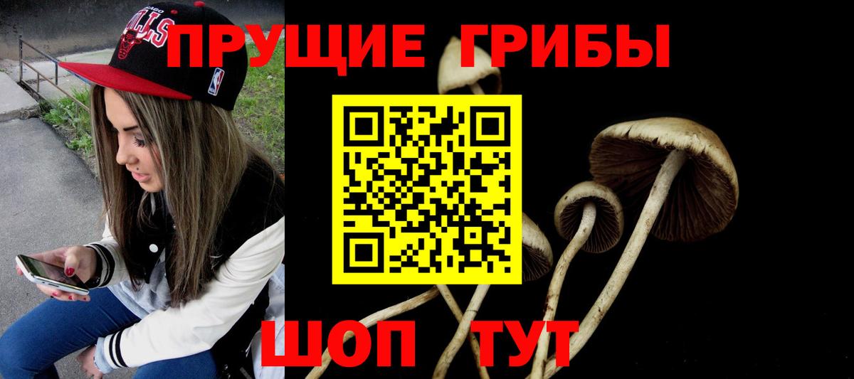 Псилоцибиновые грибы MAGIC MUSHROOMS  Галлюциногенные грибы MAGIC MUSHROOMS  Мегион  Вход с VPN 